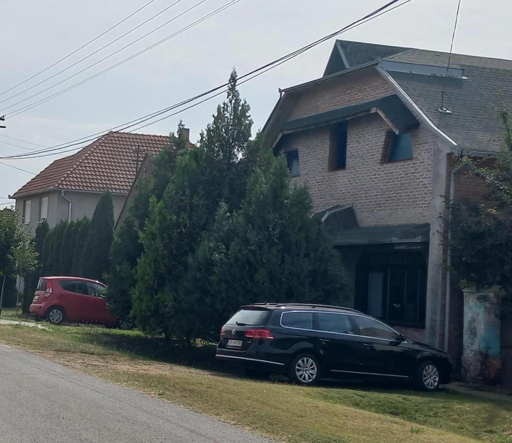 Appartamento Kod Velikih Tuja Melenci Esterno foto