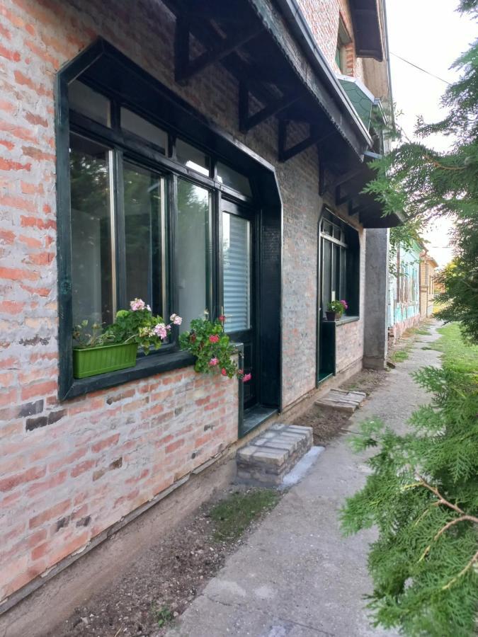 Appartamento Kod Velikih Tuja Melenci Esterno foto